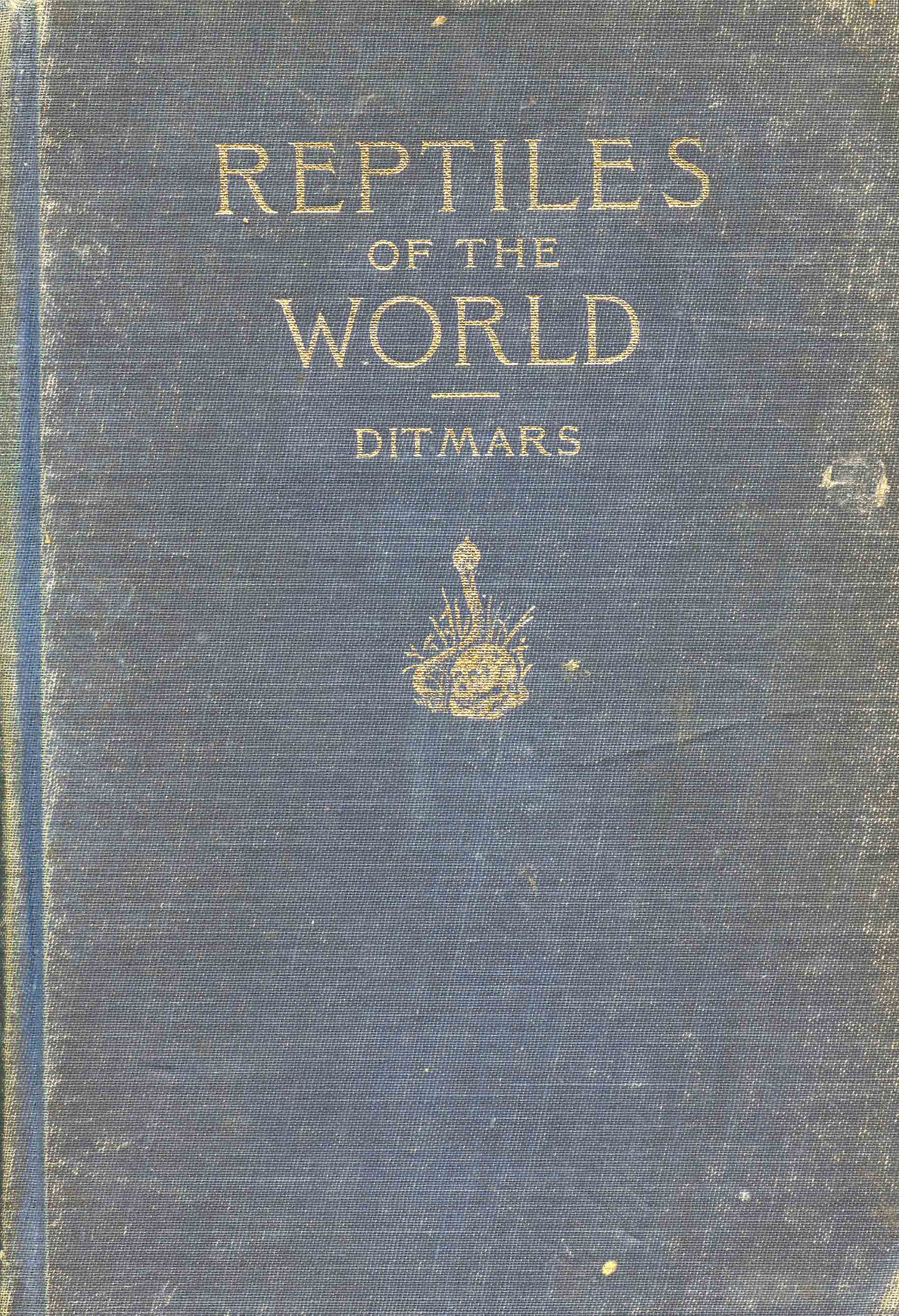 Image for Reptiles and Amphibians of the World,